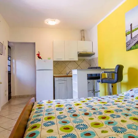 아파트 In - Istrien 17373 *