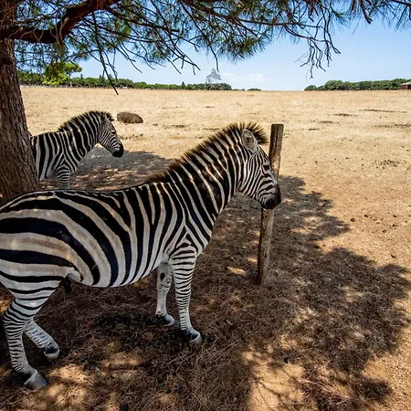 Apartamento In - Istrien 17373 Pula