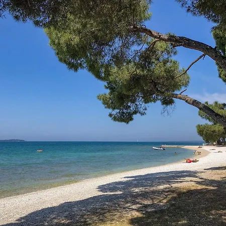 In - Istrien 17373 Apartamento Pula